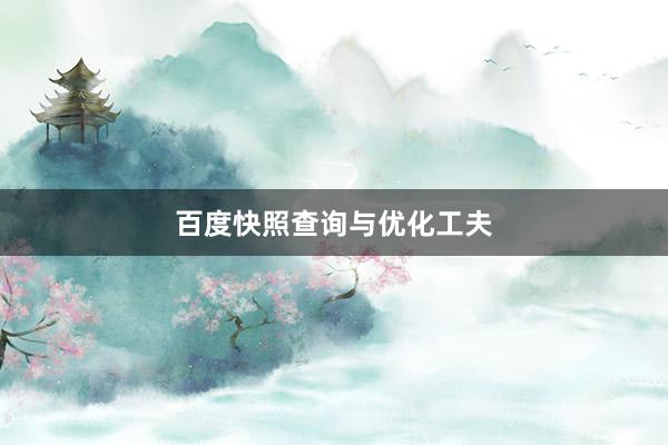 百度快照查询与优化工夫